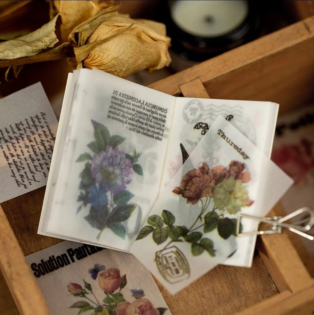 Elapsed time - Little book of pretty things