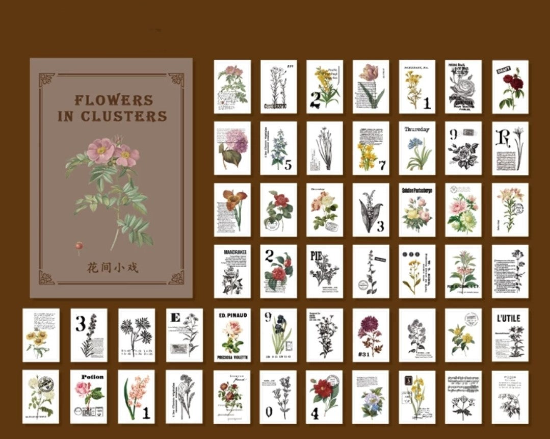 Little book of pretty things