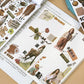Shubert - Aesthetic sticker books
