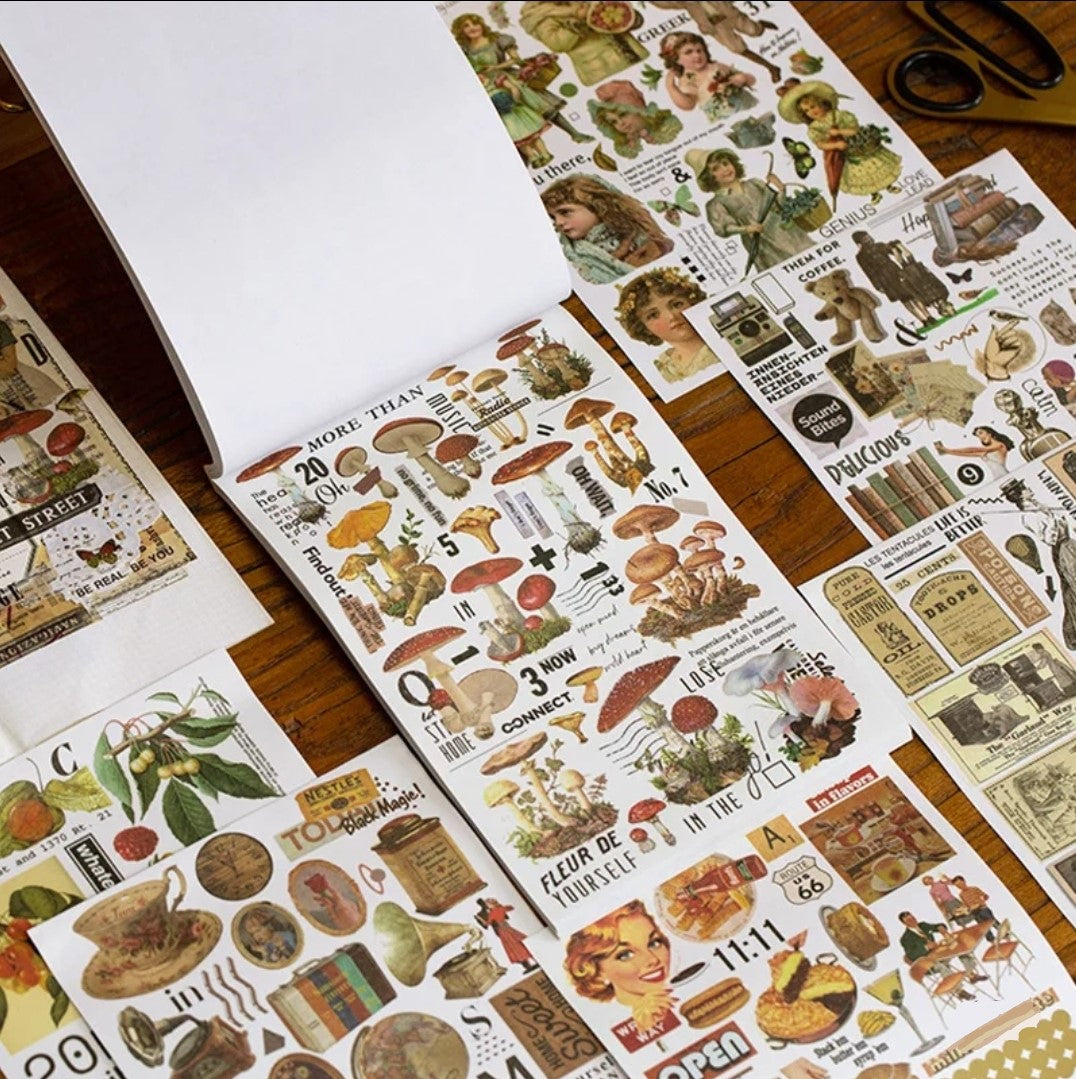 Shubert - Aesthetic sticker books