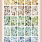 Dawn - Aesthetic sticker books